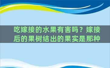 吃嫁接的水果有害吗？嫁接后的果树结出的果实是那种