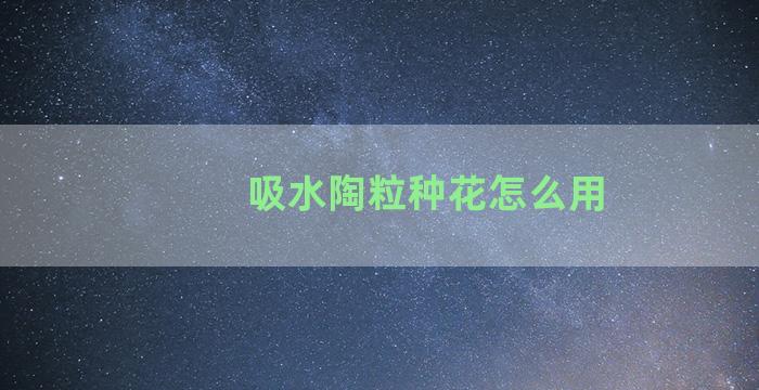 吸水陶粒种花怎么用