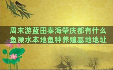 周末游蓝田秦海肇庆都有什么鱼溧水本地鱼种养殖基地地址