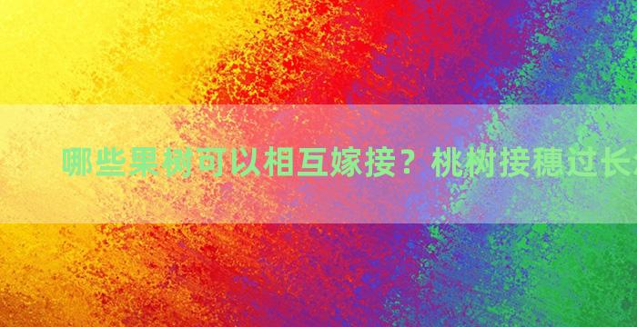 哪些果树可以相互嫁接？桃树接穗过长怎么处理