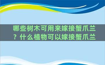 哪些树木可用来嫁接蟹爪兰？什么植物可以嫁接蟹爪兰