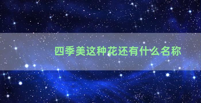 四季美这种花还有什么名称