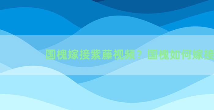 国槐嫁接紫藤视频？国槐如何嫁接