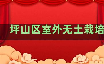 坪山区室外无土栽培企业