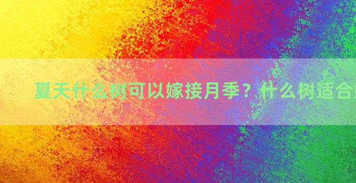 夏天什么树可以嫁接月季？什么树适合嫁接月季