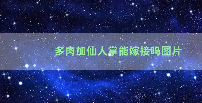 多肉加仙人掌能嫁接吗图片