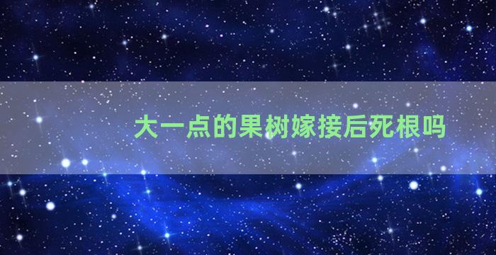 大一点的果树嫁接后死根吗