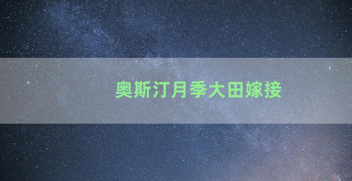 奥斯汀月季大田嫁接