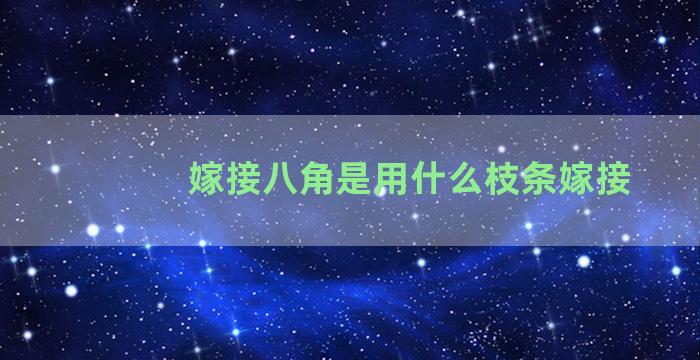 嫁接八角是用什么枝条嫁接