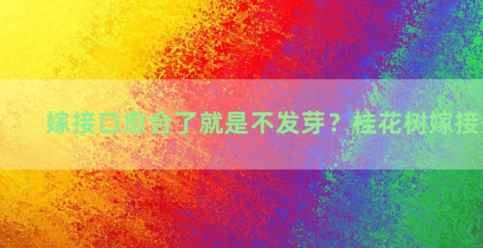 嫁接口愈合了就是不发芽？桂花树嫁接多久发芽