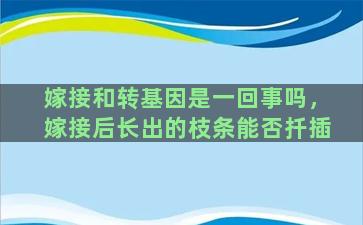 嫁接和转基因是一回事吗，嫁接后长出的枝条能否扦插