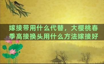 嫁接带用什么代替，大樱桃春季高接换头用什么方法嫁接好