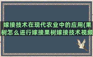 嫁接技术在现代农业中的应用(果树怎么进行嫁接果树嫁接技术视频)