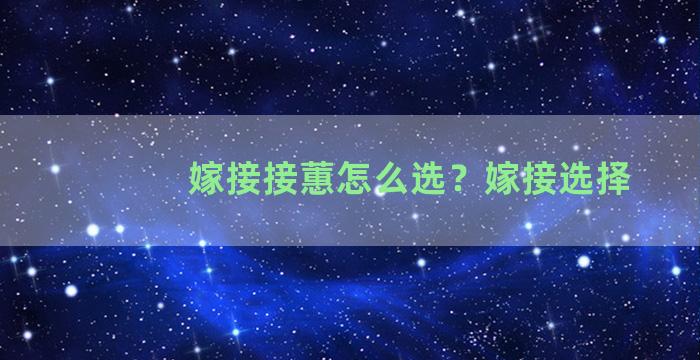 嫁接接蕙怎么选？嫁接选择