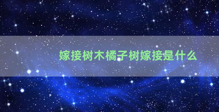 嫁接树木橘子树嫁接是什么