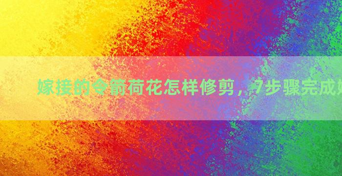 嫁接的令箭荷花怎样修剪，7步骤完成嫁接方法