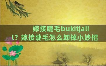 嫁接睫毛bukitjalil？嫁接睫毛怎么卸掉小妙招