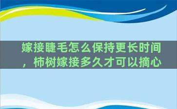 嫁接睫毛怎么保持更长时间，柿树嫁接多久才可以摘心