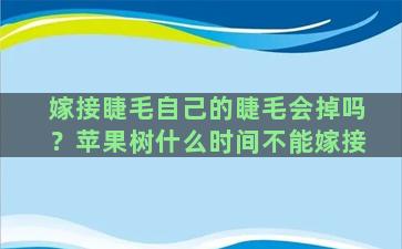 嫁接睫毛自己的睫毛会掉吗？苹果树什么时间不能嫁接