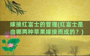 嫁接红富士的管理(红富士是由哪两种苹果嫁接而成的？)