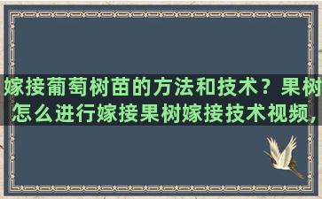 嫁接葡萄树苗的方法和技术？果树怎么进行嫁接果树嫁接技术视频,嫁接方法图解