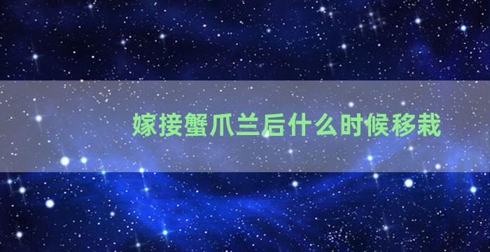 嫁接蟹爪兰后什么时候移栽