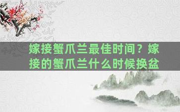 嫁接蟹爪兰最佳时间？嫁接的蟹爪兰什么时候换盆