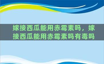 嫁接西瓜能用赤霉素吗，嫁接西瓜能用赤霉素吗有毒吗