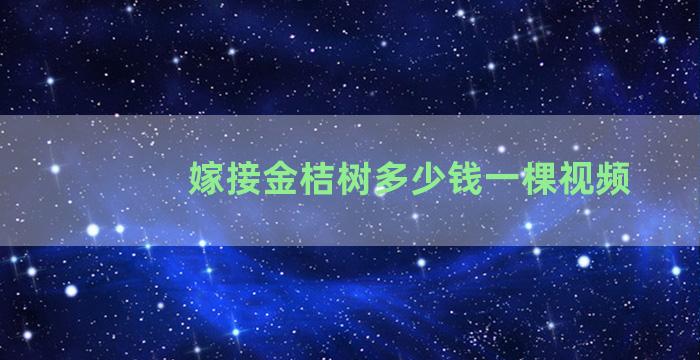 嫁接金桔树多少钱一棵视频