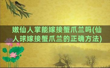 嫩仙人掌能嫁接蟹爪兰吗(仙人球嫁接蟹爪兰的正确方法)