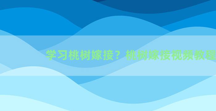 学习桃树嫁接？桃树嫁接视频教程