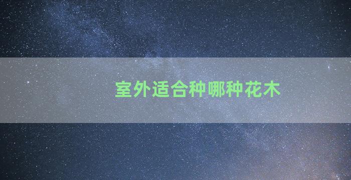 室外适合种哪种花木