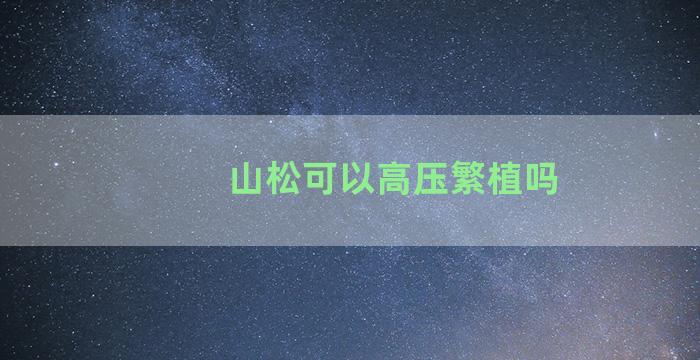 山松可以高压繁植吗