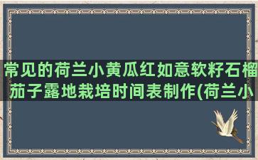 常见的荷兰小黄瓜红如意软籽石榴茄子露地栽培时间表制作(荷兰小黄瓜种植视频)