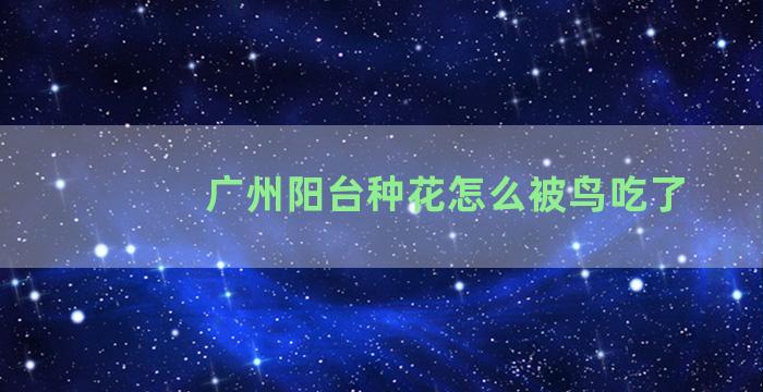 广州阳台种花怎么被鸟吃了