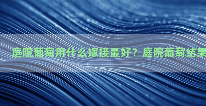 庭院葡萄用什么嫁接最好？庭院葡萄结果了怎么管理