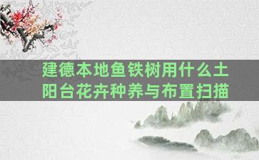 建德本地鱼铁树用什么土阳台花卉种养与布置扫描