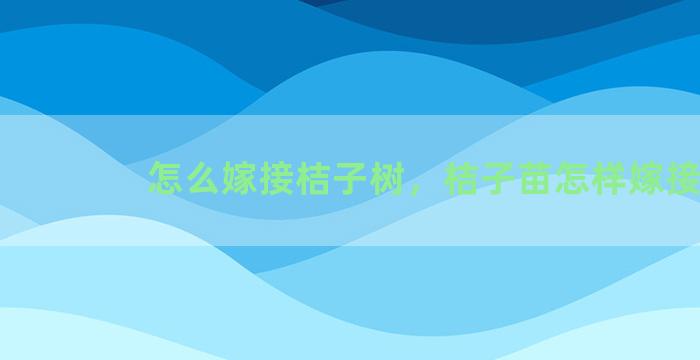 怎么嫁接桔子树，桔子苗怎样嫁接