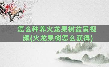 怎么种养火龙果树盆景视频(火龙果树怎么获得)