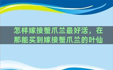 怎样嫁接蟹爪兰最好活，在那能买到嫁接蟹爪兰的叶仙