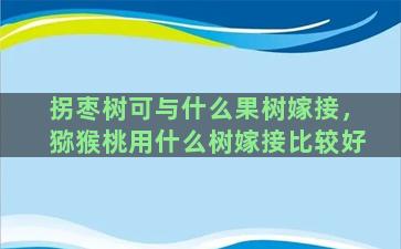 拐枣树可与什么果树嫁接，猕猴桃用什么树嫁接比较好