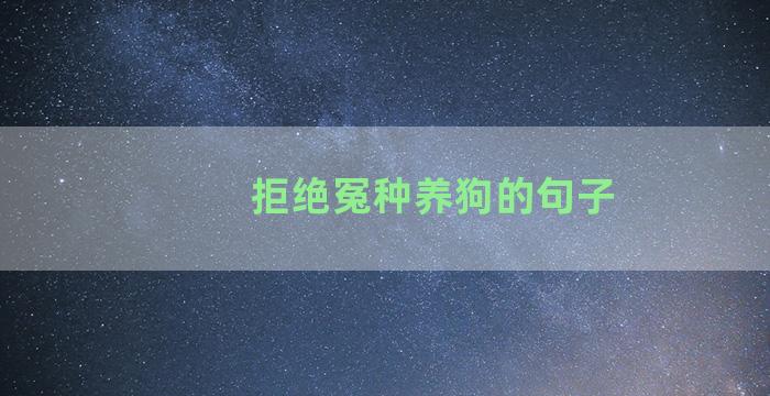 拒绝冤种养狗的句子