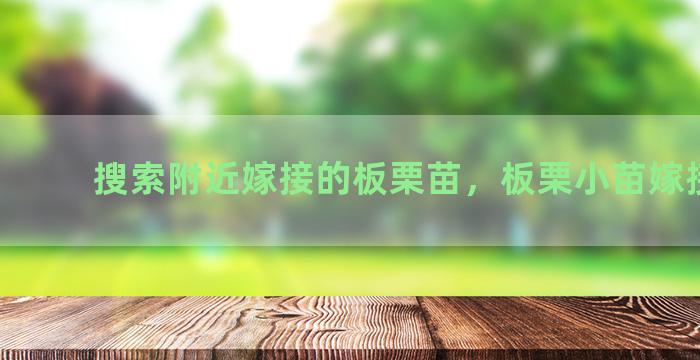 搜索附近嫁接的板栗苗，板栗小苗嫁接方法