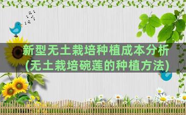 新型无土栽培种植成本分析(无土栽培碗莲的种植方法)