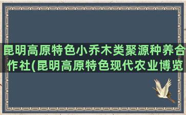 昆明高原特色小乔木类聚源种养合作社(昆明高原特色现代农业博览园)