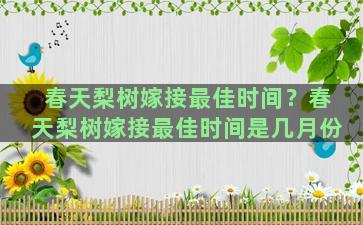 春天梨树嫁接最佳时间？春天梨树嫁接最佳时间是几月份