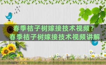 春季桔子树嫁接技术视频？春季桔子树嫁接技术视频讲解