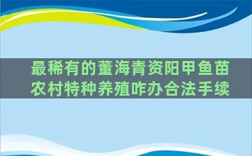 最稀有的董海青资阳甲鱼苗农村特种养殖咋办合法手续