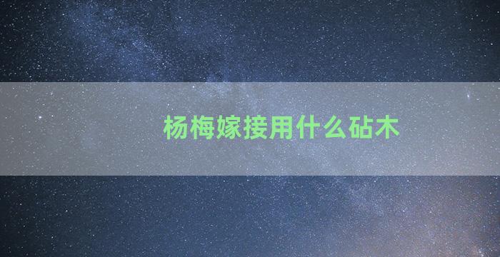 杨梅嫁接用什么砧木