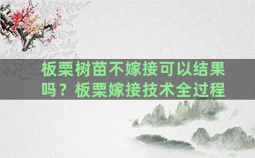 板栗树苗不嫁接可以结果吗？板栗嫁接技术全过程